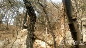 잠적한 성완종 전 회장, 북한산 매표소 인근서 목 매 숨진 채 발견