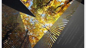 오드리헵번 가족, 세월호 기억의 숲 프로젝트 참여… 어머니의 뜻