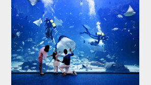 심해와 정글을 동시에 탐험하고 싶다면…