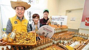 “진도 울금차로 건강 챙기세요”