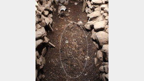 젊은 남성 순장된, 신라 여성귀족 무덤 발견