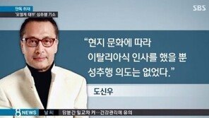 ‘伊 성추행 혐의 기소’ 도신우 누구? 한국 최초 男 모델 ‘왕실모델클럽’