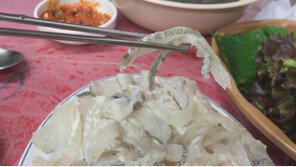 ‘진짜 도다리’의 진실은? 주산지 통영-거제-부산 방문해보니…