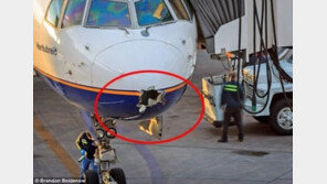 공항에 내려보니 타고온 비행기에 구멍이 ‘뻥’ 어쩌다가?