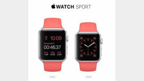 애플워치 6시간 만에 품절, 中 2천만 원 넘는 18K 금장 케이스 모델 1시간 만에…