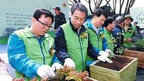 도시농업 전국 네트워크 출범