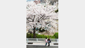 “나쁜남자 별로” 여대생이 꿈꾸는 캠퍼스 이상형 1위는? 