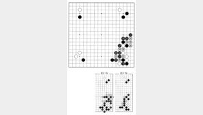 [바둑]제58기 국수전… 32 최근 연구된 수