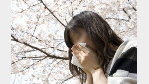 꽃가루 제일 많은 시간, ‘오전 6시부터 10시 사이, 야외활동 삼가야’…알고 보니?
