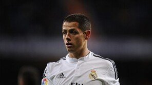 英 언론 “치차리토 EPL 잔류 원해”