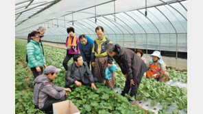 “영세농가 채소, 대형마트가 대신 팔아줘요”