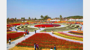 120만송이 튤립의 군무, 태안 물들이다