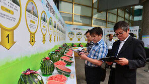 [2015 대한민국 대표브랜드]당도 높고 아삭아삭, 수박의 대표선수