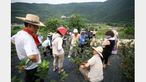 [2015 대한민국 대표브랜드]수도권 가까운 귀농귀촌 최적지로 뜬다
