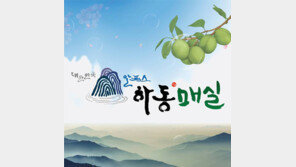 [2015 대한민국 대표브랜드]한국의 알프스, 하동이 키운 맛있는 매실