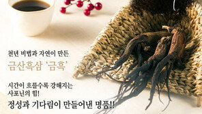 [2015 대한민국 대표브랜드]소비자가 선정한 최고의 흑삼 브랜드