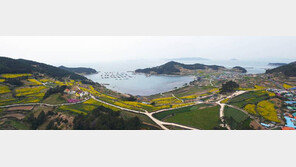 [2015 대한민국 대표브랜드]대한민국 No.1 청정지역, 건강의 섬 완도