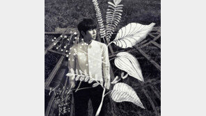 케이윌 ‘꽃이 핀다’, 중국 모바일 차트 메인페이지 1위…한류 발라더 입증