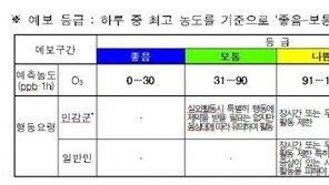 오존 예보제 시행, 고농도 기간 하루 4회 예보…호흡기, 폐, 눈 등 감각기관 손상 유발