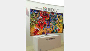 [2015 대한민국 대표브랜드]풍부하고 실감나는 표현으로 몰입감 극대화