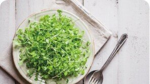 [라메드] 나른한 봄철 피로를 풀어줄 제철 음식