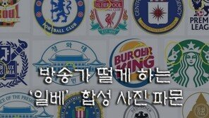 [카드뉴스]잊을 만하면 터지는 ‘일베사진 방송사고’…왜?