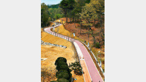 [대전/충남]KAIST-충남대 담장 허물고 ‘열린 길’ 만들어