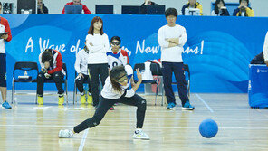 전 세계 시각장애인선수단, 서울 모인다