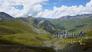 [연예 뉴스 스테이션] KBS 다큐, 뉴욕 TV페스티벌 금·동상 수상