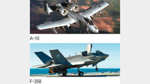 “F-35B 성능, 40년된 A-10과 차이없어”