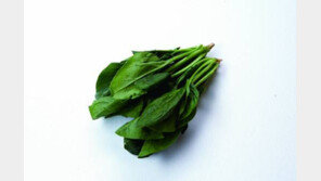여성 건강에 좋은 채소 ‘시금치’, 두부와 궁합이 안 맞는다?