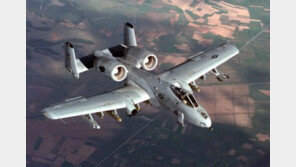 美, 주한미군 A-10기 한국에 임대 제안…軍 부정적 반응 왜?