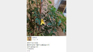 김부선, 세월호 참사 1주기 추모 행렬 동참…SNS에 노란리본 사진 게재