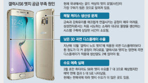 17일 中 출시 앞두고… ‘갤S6 엣지’ 공급난 비상 