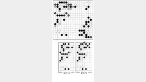 [바둑]제58기 국수전… 좋은 수 77