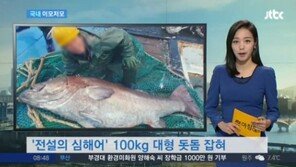 ‘전설의 심해어’ 돗돔, 역대 최고가 낙찰…도대체 얼마야?