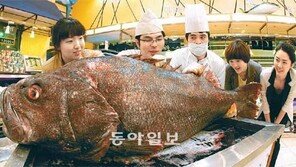 전설의 심해어 돗돔 “괴물인가 물고기 인가? 크기가…”