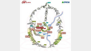성종 태 묻은 풍수명당 여기 있었네