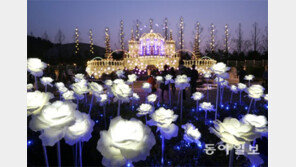 [Feeling]어둠의 커튼, 작은 빛의 씨앗이 싹을 틔우다 