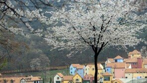 쁘띠프랑스, 5월1일부터 ‘유럽동화나라축제’