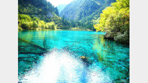 보물섬투어, 신이 준 선물 ‘구채구’… 언젠가 꼭 봐야할 놀라운 풍광