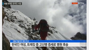 네팔 히말라야 등반 한국인 여행사 대표, 고산병으로 사흘 만에 숨져