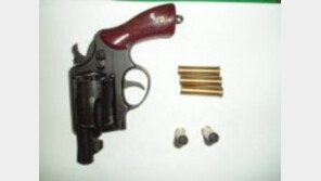 美 텍사스, 권총 공개 휴대 허용할 듯…장총은 되고 소총은 안 된다? ‘일관성無’ 규제 