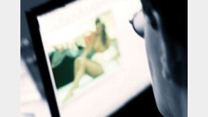 갖고만 있어도 잡혀간다? ‘야동 대란’의 진실