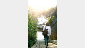 자발적 왕따 즐기는 ‘혼자 놀기’의 달인들