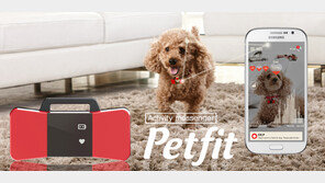 ‘반려견용 웨어러블 기기’ 나왔다