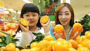 “제주에서 온 돌빌레 진귤입니다”