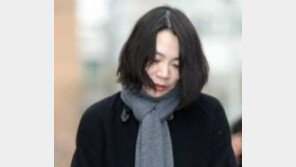 검찰, ‘땅콩회항’ 조현아 전 부사장에 항소심서 징역3년 구형 