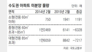 수도권 주택시장 훈풍에… “다시보자, 중대형 아파트”