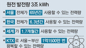 원전, 37년만에 3조 kWh 돌파… 국내 전력생산 ‘빅2’